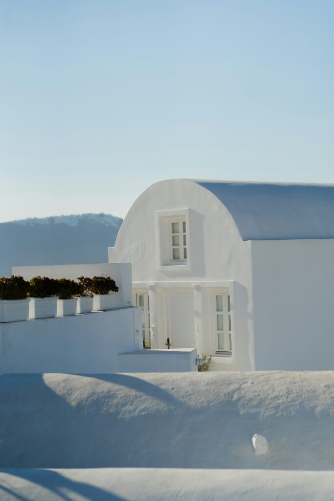 Rodrigo rodrigues wolf r t 4zjkqkdticg unsplash